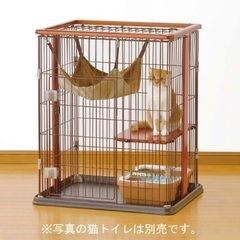 猫　ケージの画像