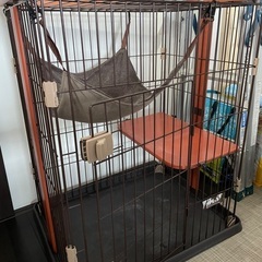 猫　ケージ