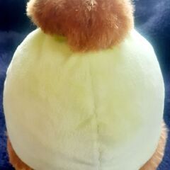 🥝すみっコぐらし キウイなりきりぬいぐるみ 非売品の画像
