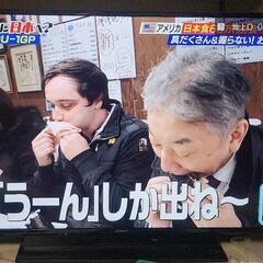 Panasonic HDD内蔵テレビの画像