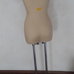 トルソーの画像