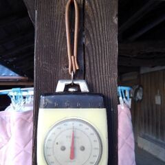 秤吊り秤最大測定値4㎏
