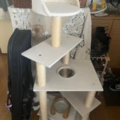 キャットタワー