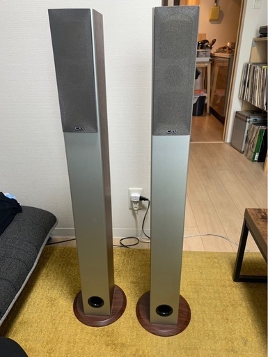 CAV DP-10型トールタイプ　スピーカー2台セット