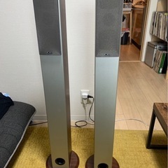CAV DP-10型トールタイプ　スピーカー2台セット