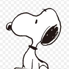 🌱2025カレンダー🌱の画像