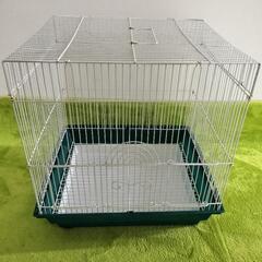 鳥　ケージ　ペット