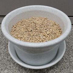 プラ鉢7号　室内向け観葉植物用土入り