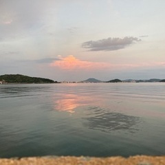 アジング