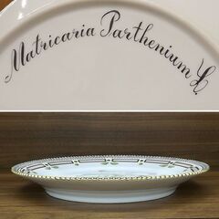 ロイヤルコペンハーゲン フローラダニカ 最高級 プレート 直径約22.5cm