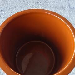 飲食物容器の画像