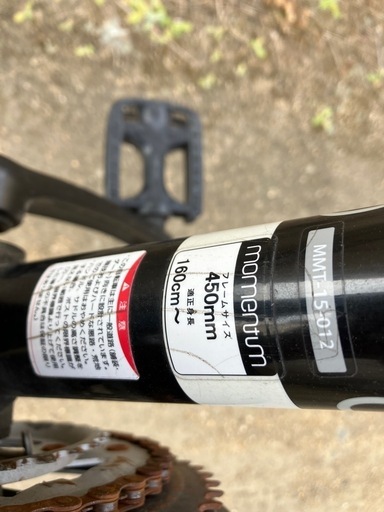 自転車　クロスバイク　momentum iNeed W-1
