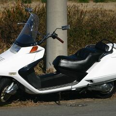 埼玉発3112-】HONDAフュージョン 真っ白な車体番号：21...
