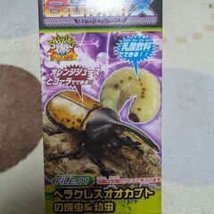 ムシキング好きに　グミミックス
