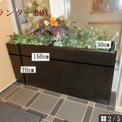 プランターBOX❪ロビー仕切りに❫の画像