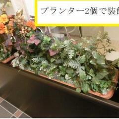 プランターBOX❪ロビー仕切りに❫の画像