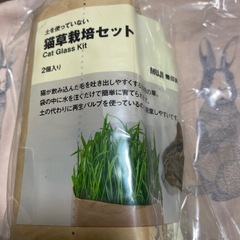 猫草栽培セット