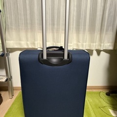 サムソナイト　カメレオン　スーツケース　Ｌサイズ
 の画像