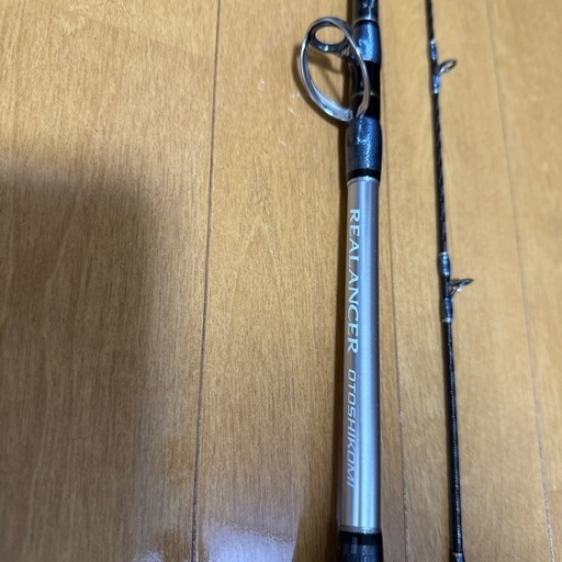 釣竿 落とし込み