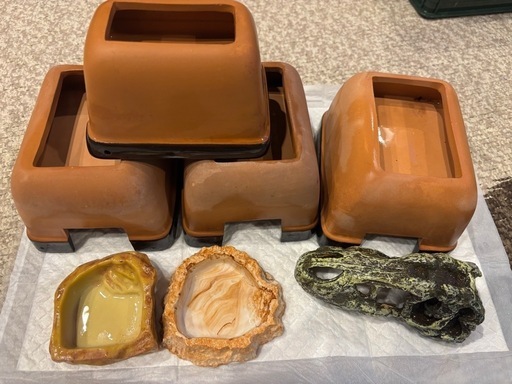 爬虫類ケージ