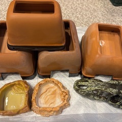 爬虫類ケージの画像