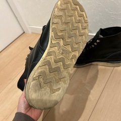 レッドウィング8165の画像