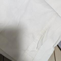 西条農業高校いろいろの画像