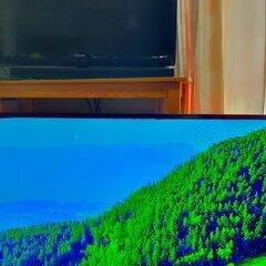 ②【動画あり 絶対安いです！】今だけ89000円→40000円 最終価格です 本当に映画が綺麗です！！パナソニック ビエラ 55インチ 有機EL 4K TV Panasonic VIERA TH-55GZ1000 2019年製 HDR/倍速/Net動画 美品 ユーチューブ アマプラ ネットフリックス 観れます！の画像