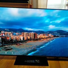 ②【動画あり 絶対安いです！】今だけ89000円→40000円 最終価格です 本当に映画が綺麗です！！パナソニック ビエラ 55インチ 有機EL 4K TV Panasonic VIERA TH-55GZ1000 2019年製 HDR/倍速/Net動画 美品 ユーチューブ アマプラ ネットフリックス 観れます！の画像