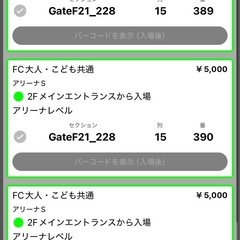 琉球ゴールデンキングスvs三遠チケット3枚
の画像