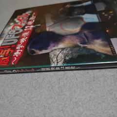 激写！UFOファイル 〜衝撃映像12連発〜美品✨(ღ✪ｖ✪)の画像