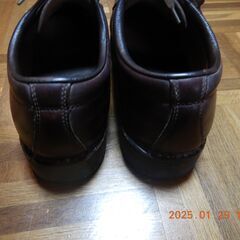 SCARPAのチロリアンシューズの画像