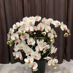 造花　　　胡蝶蘭