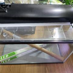 60cm水槽とLEDライト