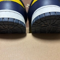 dunk lowの画像