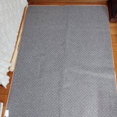 ラグ 140×200㎝　表地：ポリエステル100％ 中身：ウレタンフォーム 裏地：不織布（滑り止め加工）の画像