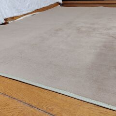 ラグ 140×200㎝　表地：ポリエステル100％ 中身：ウレタンフォーム 裏地：不織布（滑り止め加工）の画像
