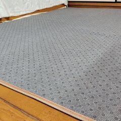 ラグ 140×200㎝　表地：ポリエステル100％ 中身：ウレタンフォーム 裏地：不織布（滑り止め加工）の画像