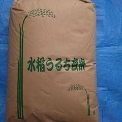 令和６年産あきたこまち玄米３０キロ 【受付中止させていただきます】