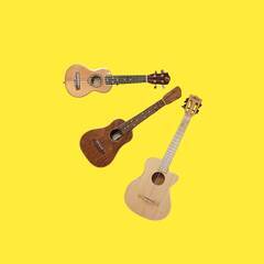 初心者の音楽教室の画像
