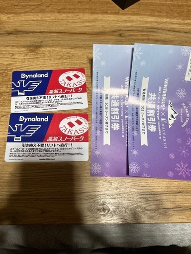 ダイナランド　高鷲スノーパーク　リフト券　2枚セット