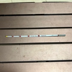 ダイワ　穂先　ワカサギ　21sss先調子　の画像