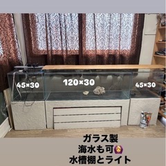ガラス水槽 海水魚も OK 半額以下 3つセット売 収納棚付き