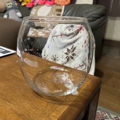 GEX製　ベタ用小型水槽