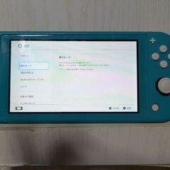 ニンテンドースイッチライト美品