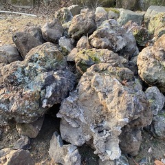 浅間石　溶岩石　自然石の画像
