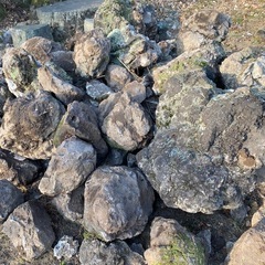 浅間石　溶岩石　自然石の画像