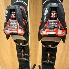 定価14万 ノルディカ ドーベルマン GS WC １７８ 20-21の画像