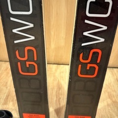 定価14万 ノルディカ ドーベルマン GS WC １７８ 20-21の画像