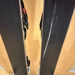 定価14万 ノルディカ ドーベルマン GS WC １７８ 20-21の画像